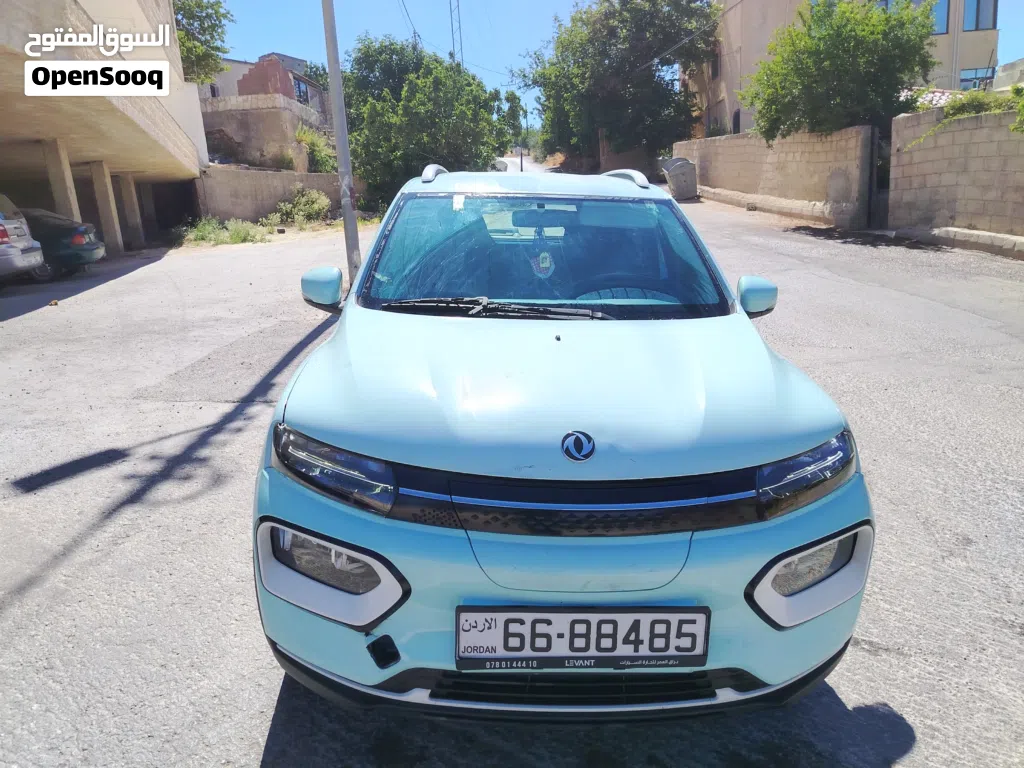 Dongfeng Other