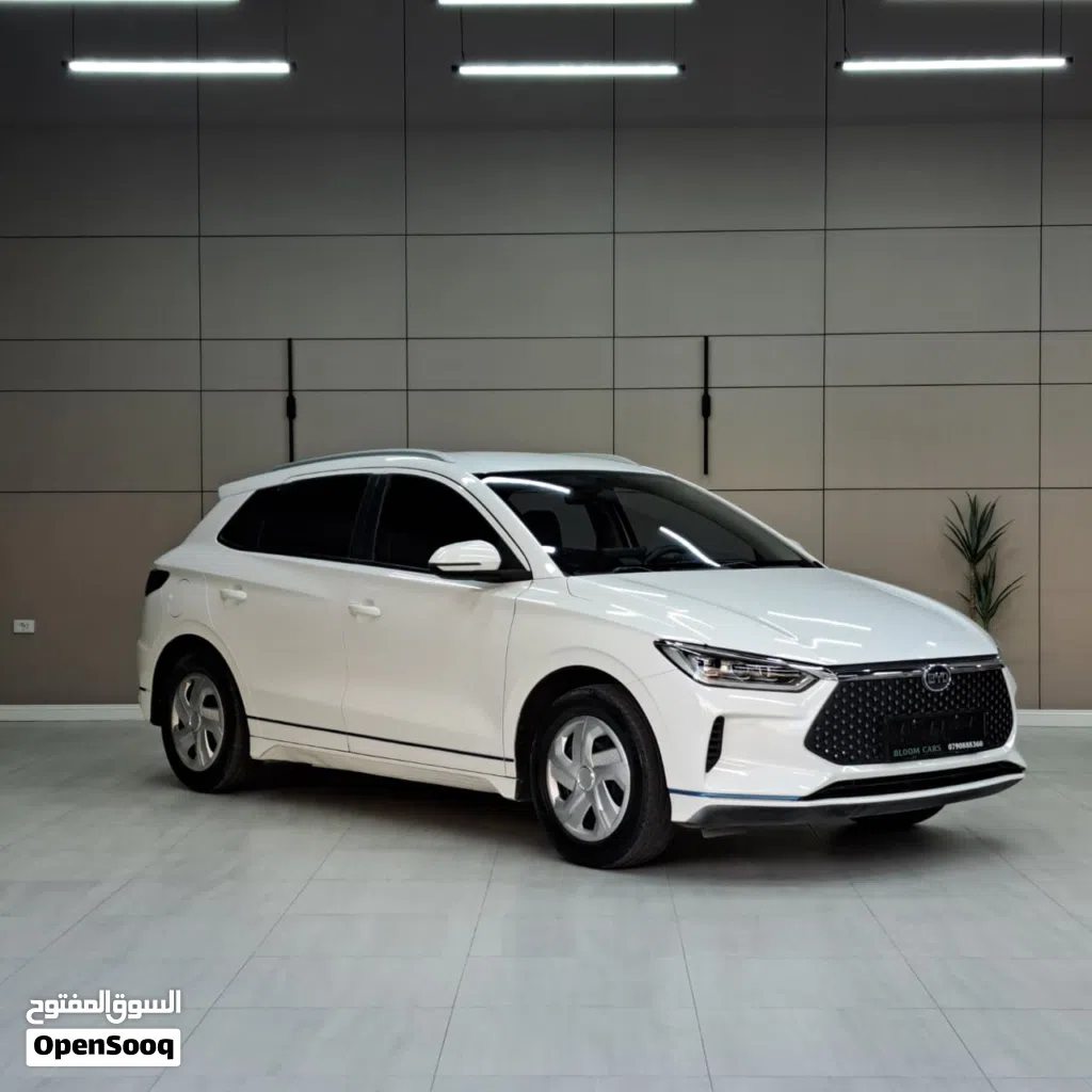 BYD E2