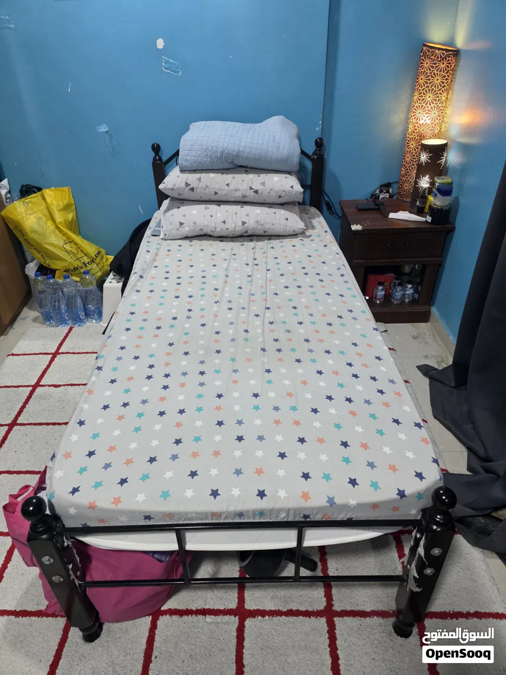 Single Metalic Frame Bed with Mattress