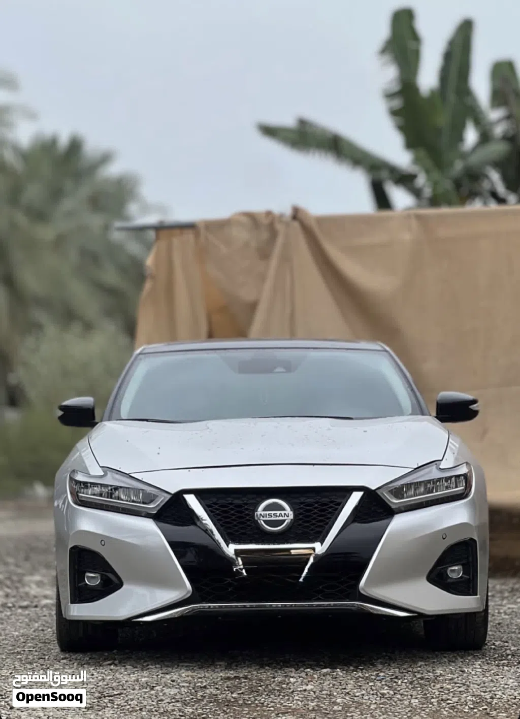 نيسان مكسيما SR2