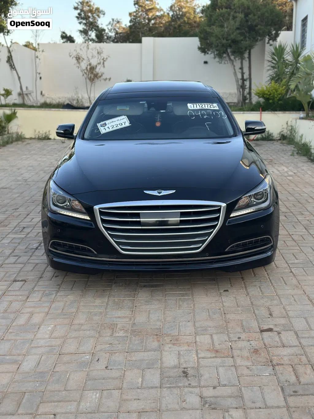 Genesis Other