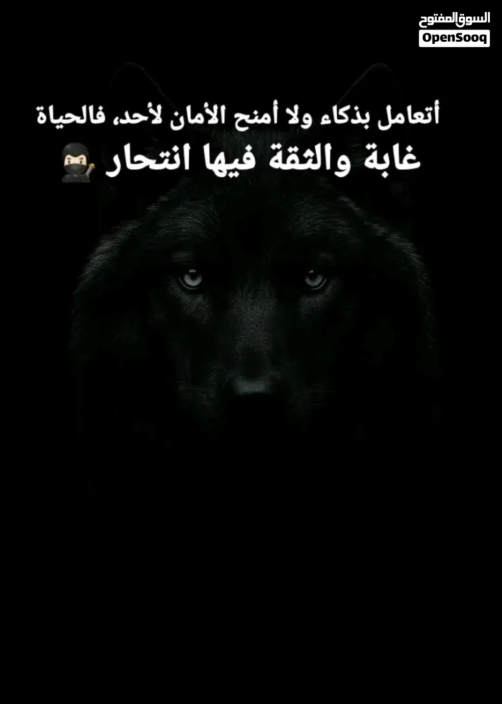 مطلوب PS5 او 4 عرطه