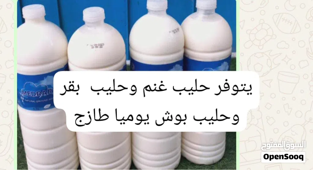 يتوفر حليب بقر وغنم وبوش طازج من المزرعه