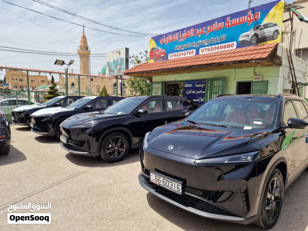 Dongfeng Sky EV01