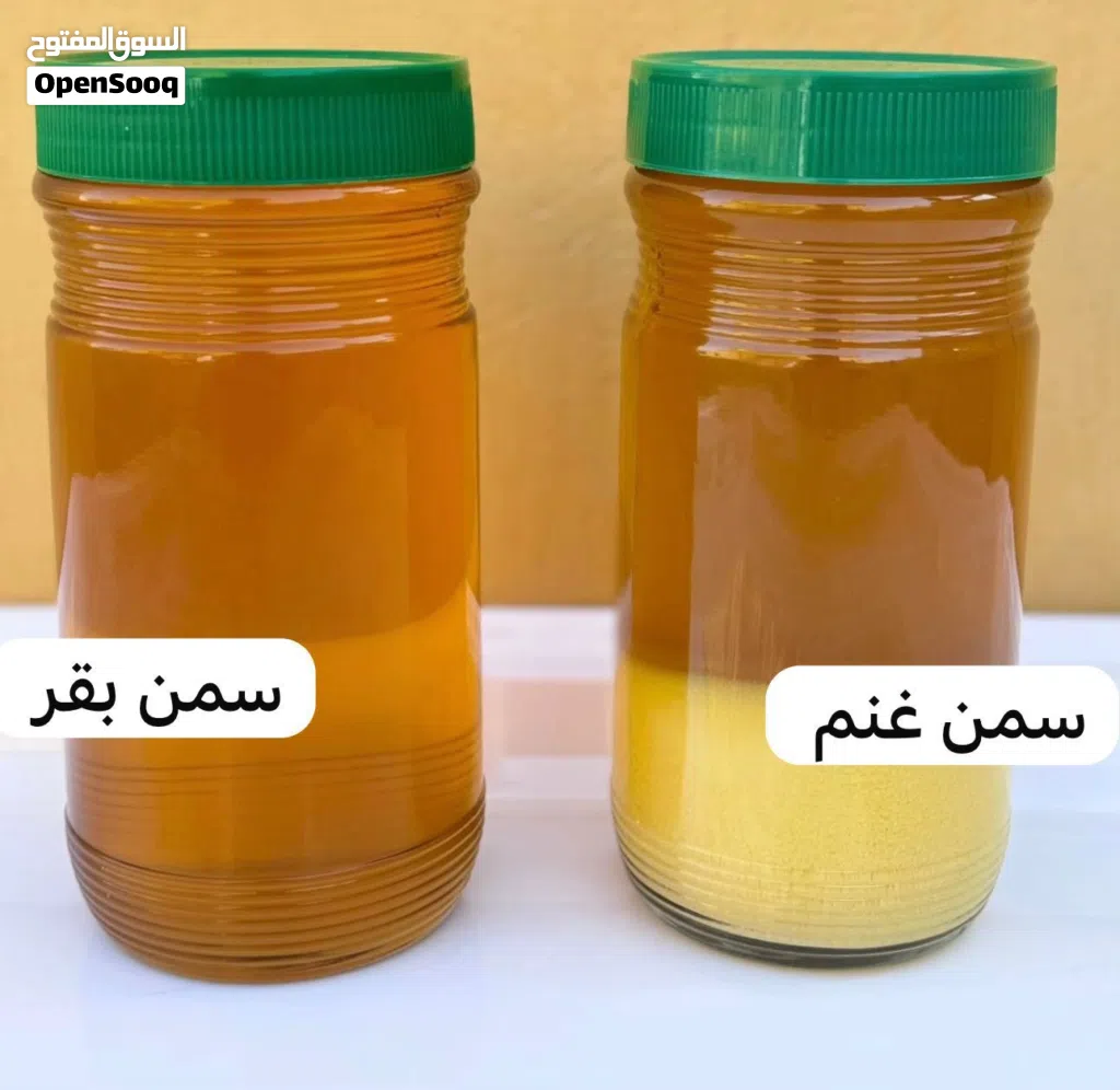 سمن بقر - غنم عماني