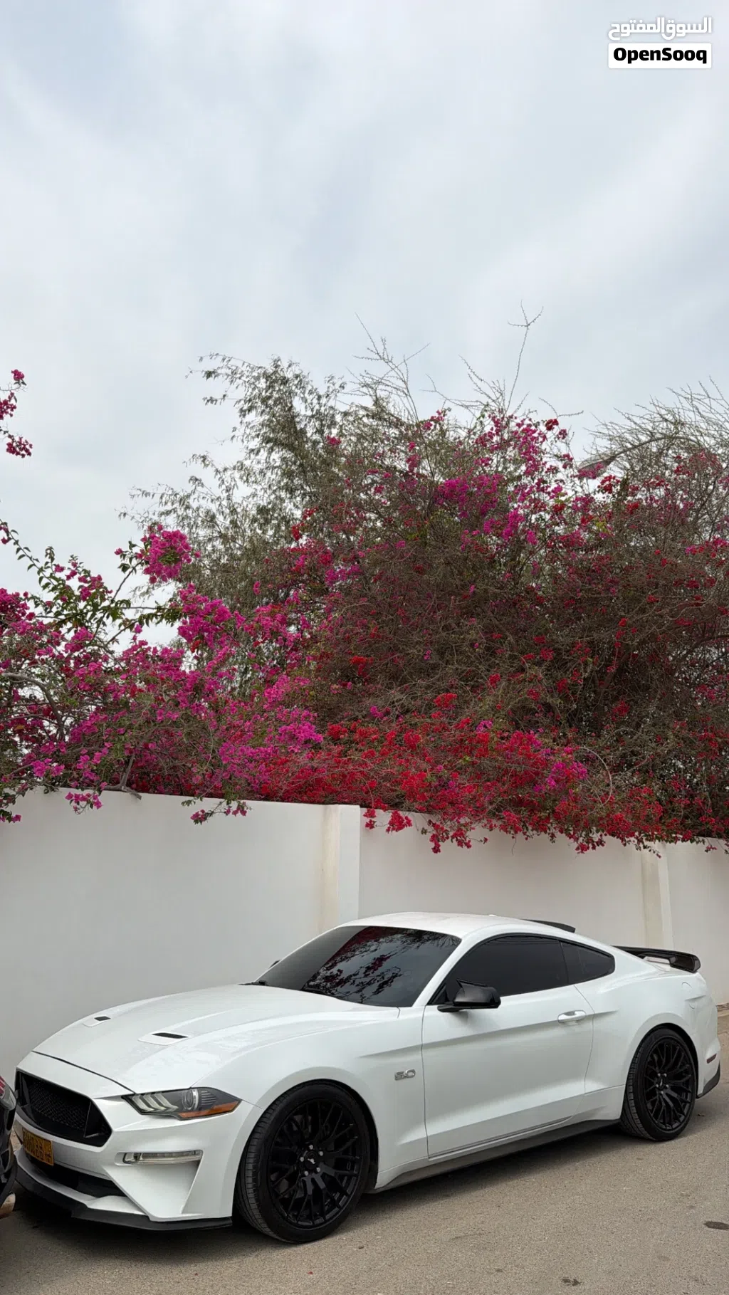 Ford Mustang GT Premium