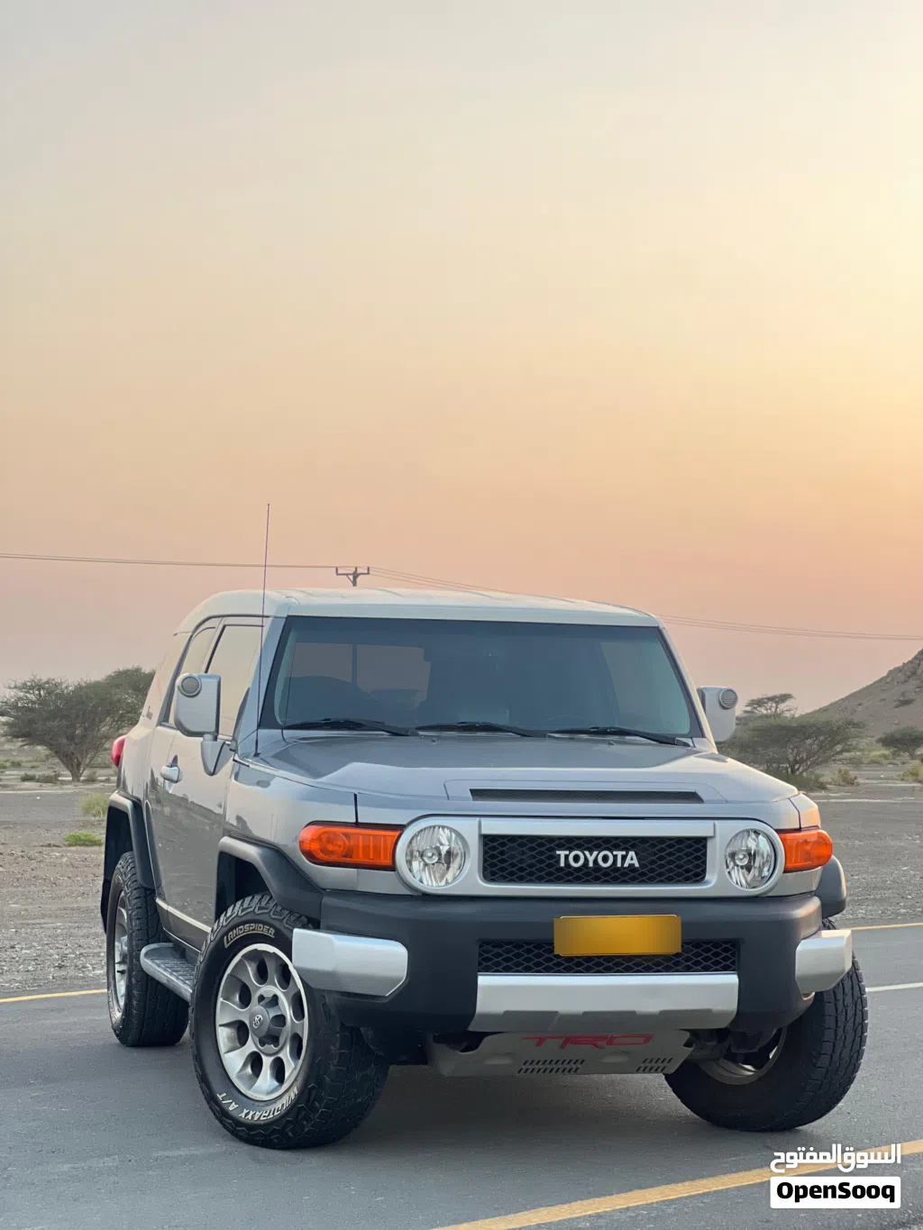 Toyota FJ XTREME