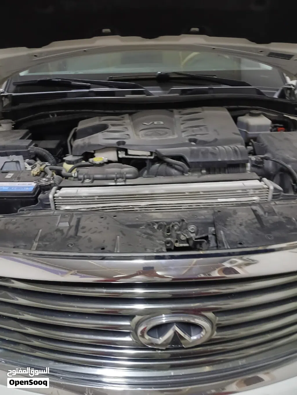 إنفينيتي QX80 Sensory Pro Active 7