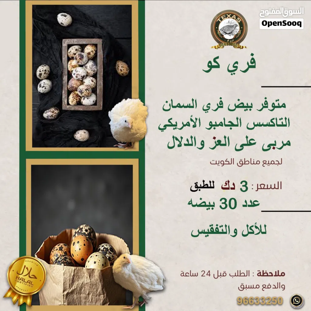 متوفر لحم فري تاكسس حجم وبيض