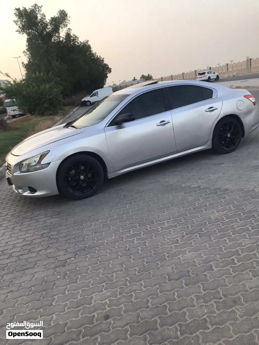 Nissan Maxima SR1