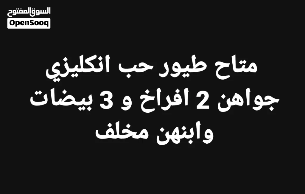 نكليزي جواهن افراخ