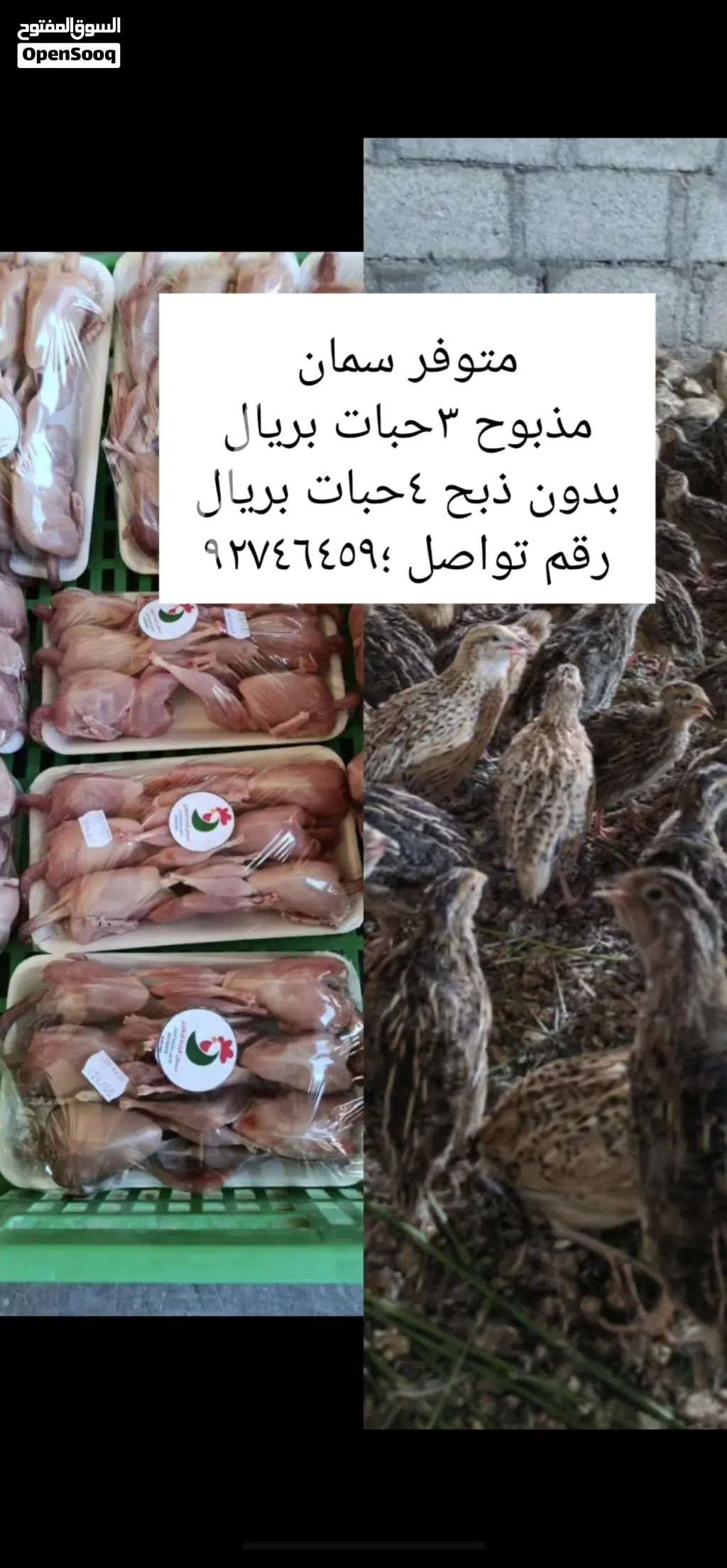 بيع سمان مذبوح وحي