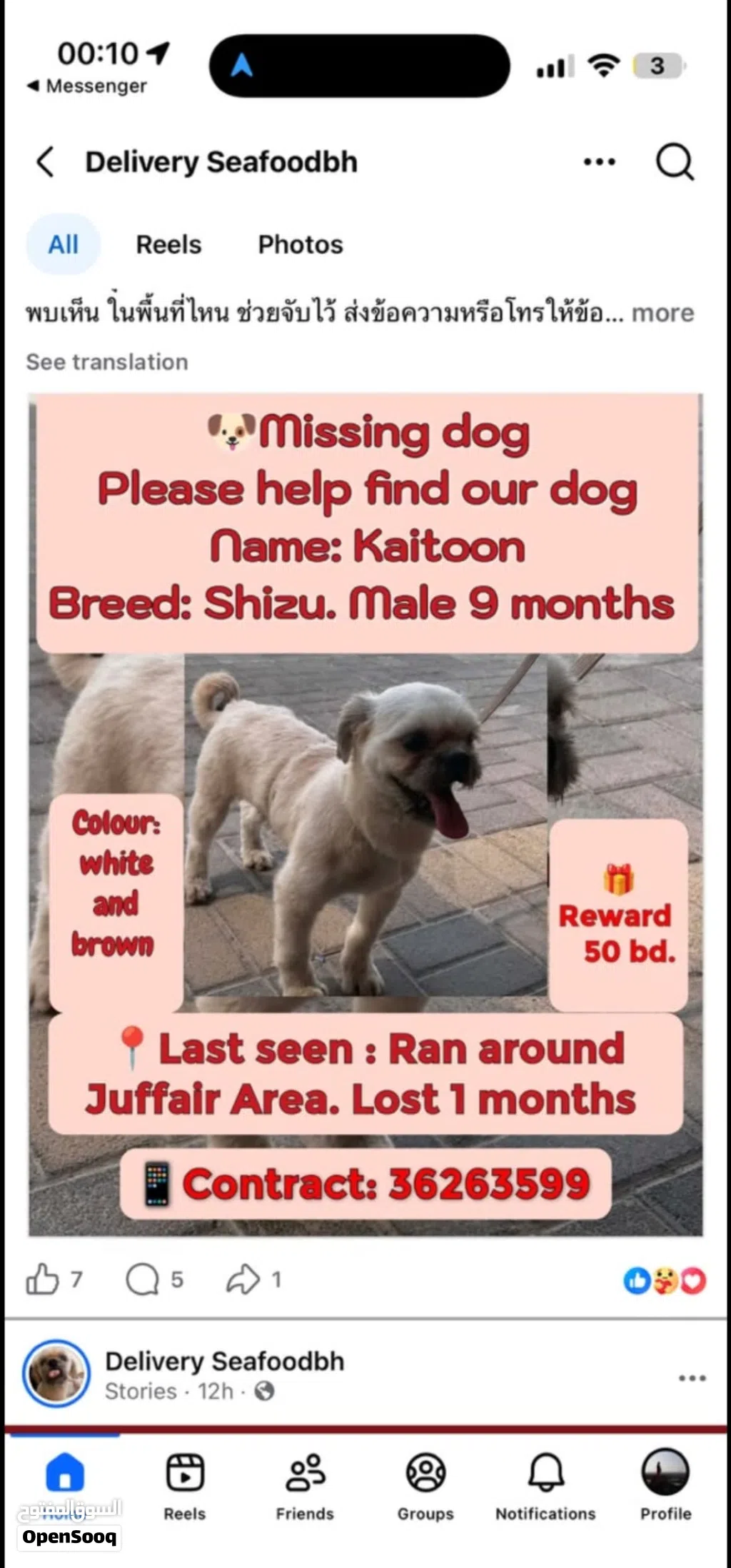 lost dog need back who see this dog hes male 10 months
