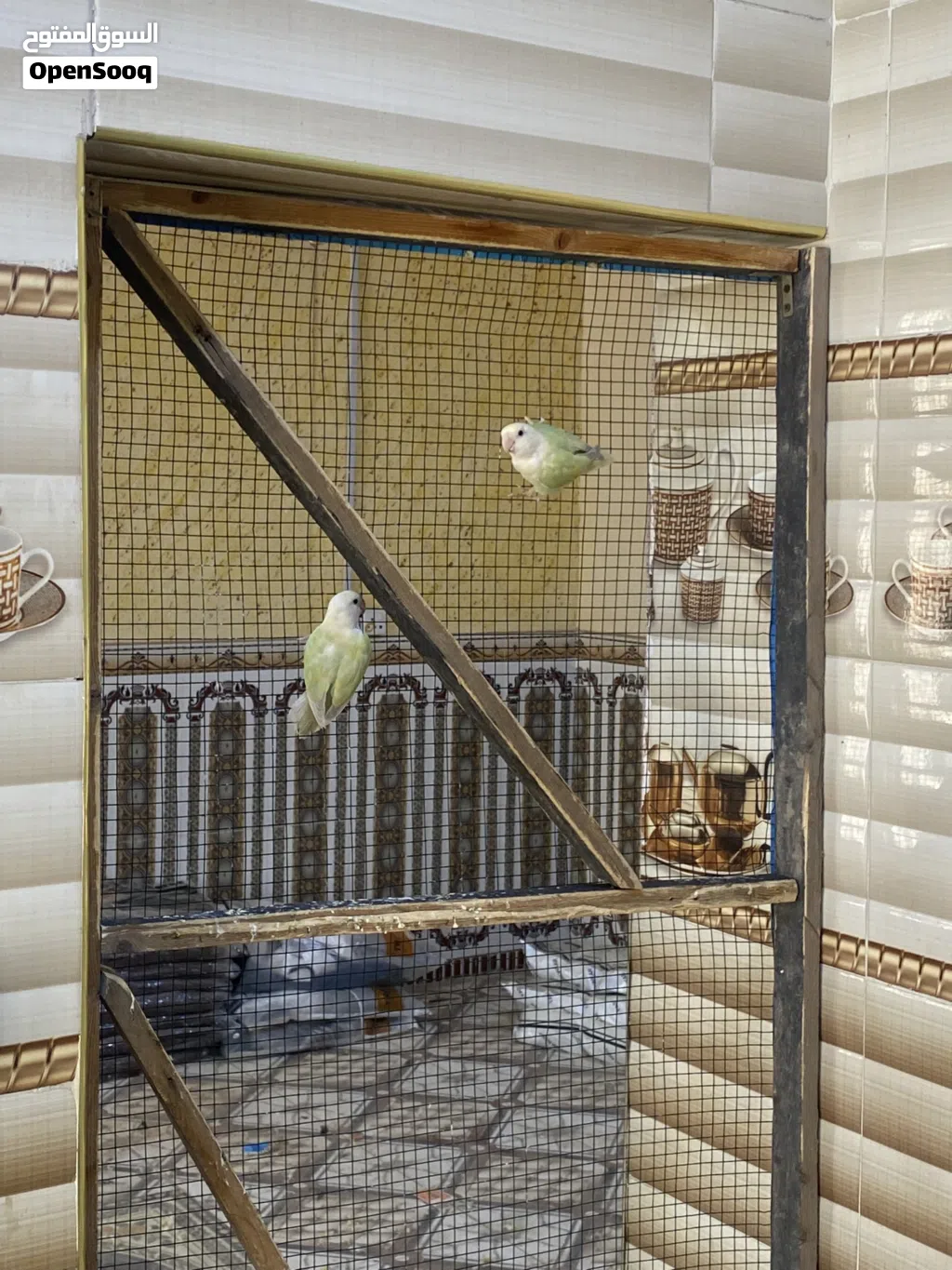 محميه غندورات البيع كلهن مضمونات وبزارات