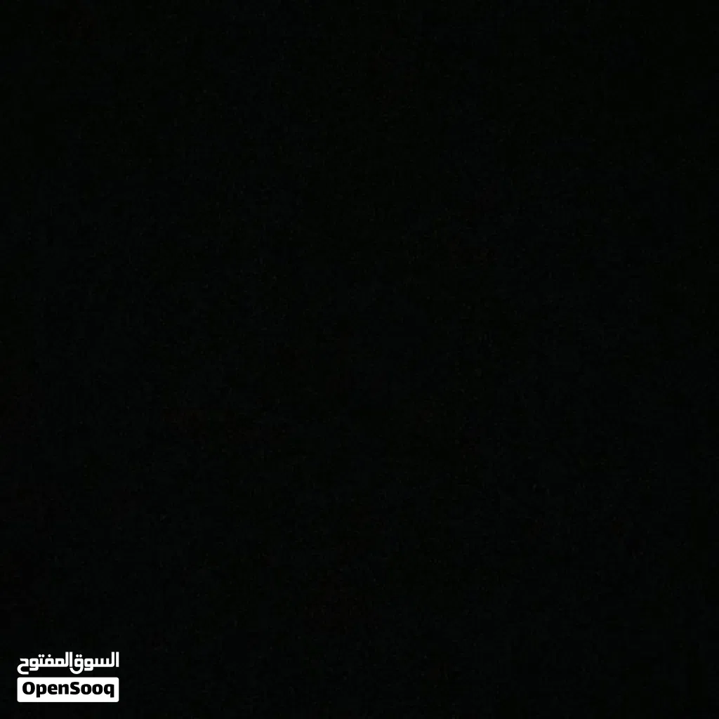 مطلوب كلب للتبني المكان مصراته