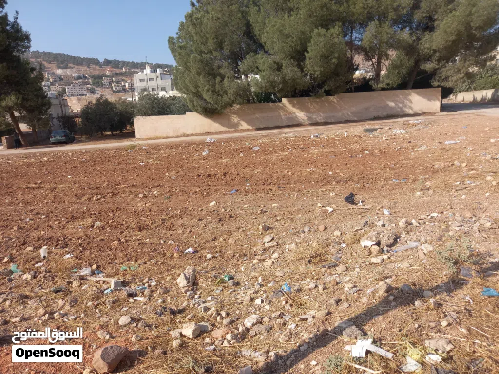 عين الباشا بجانب مستشفى الأمير حسين