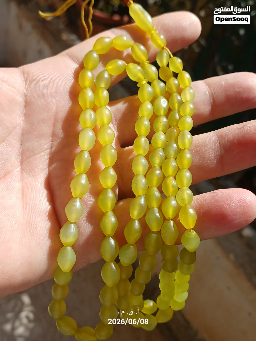مسباح باي زهر افغاني طبيعي