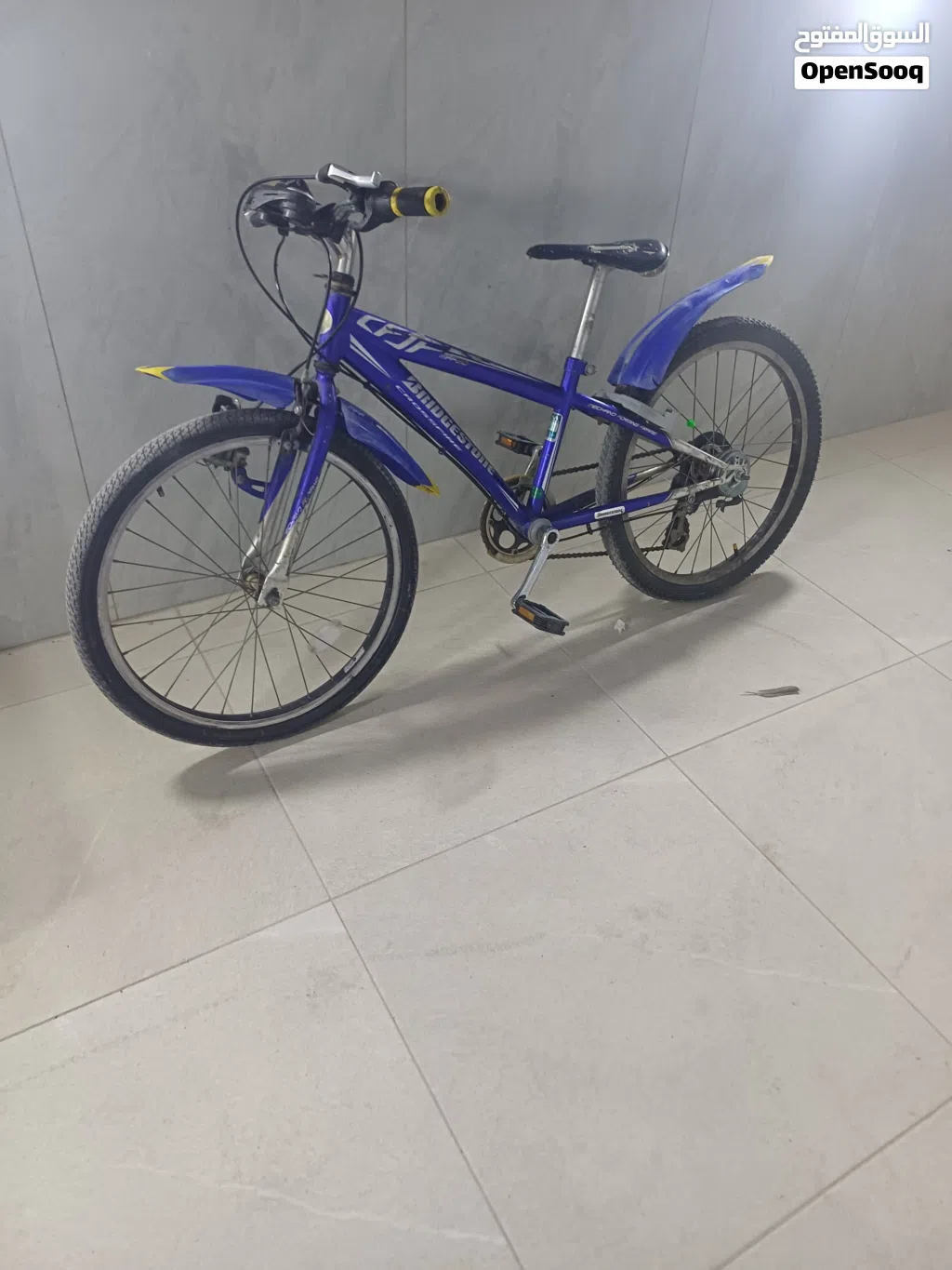 Suzuki Other