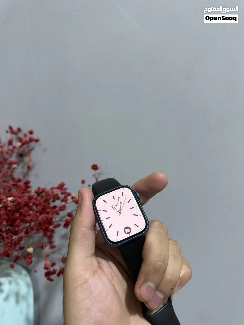 apple watch