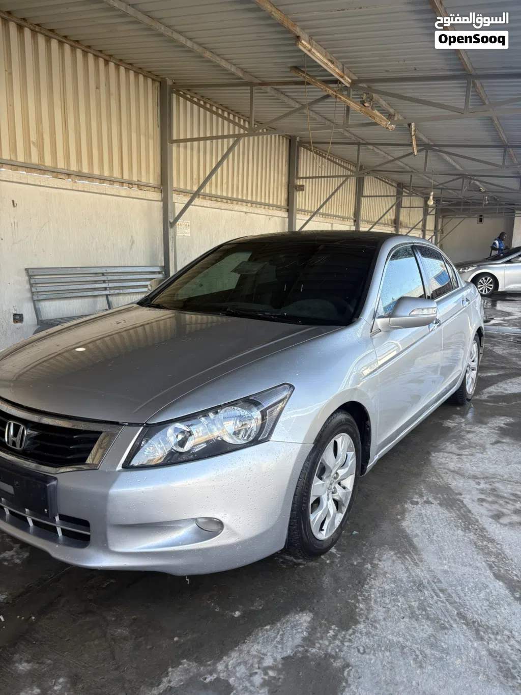 Honda Accord EX-L V6