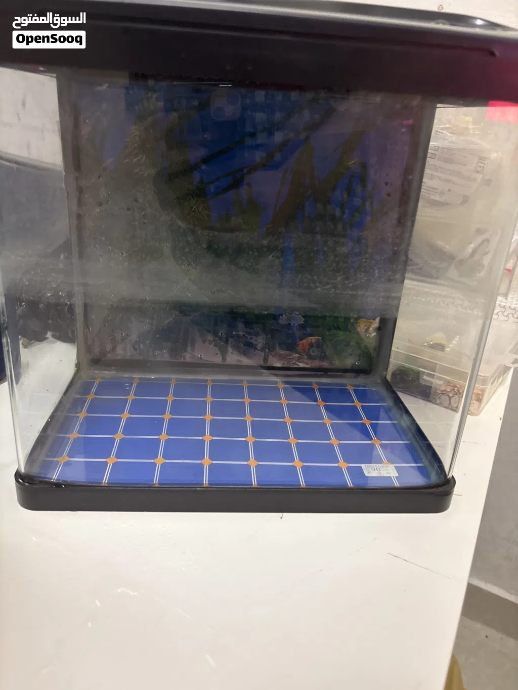 Fish tanks