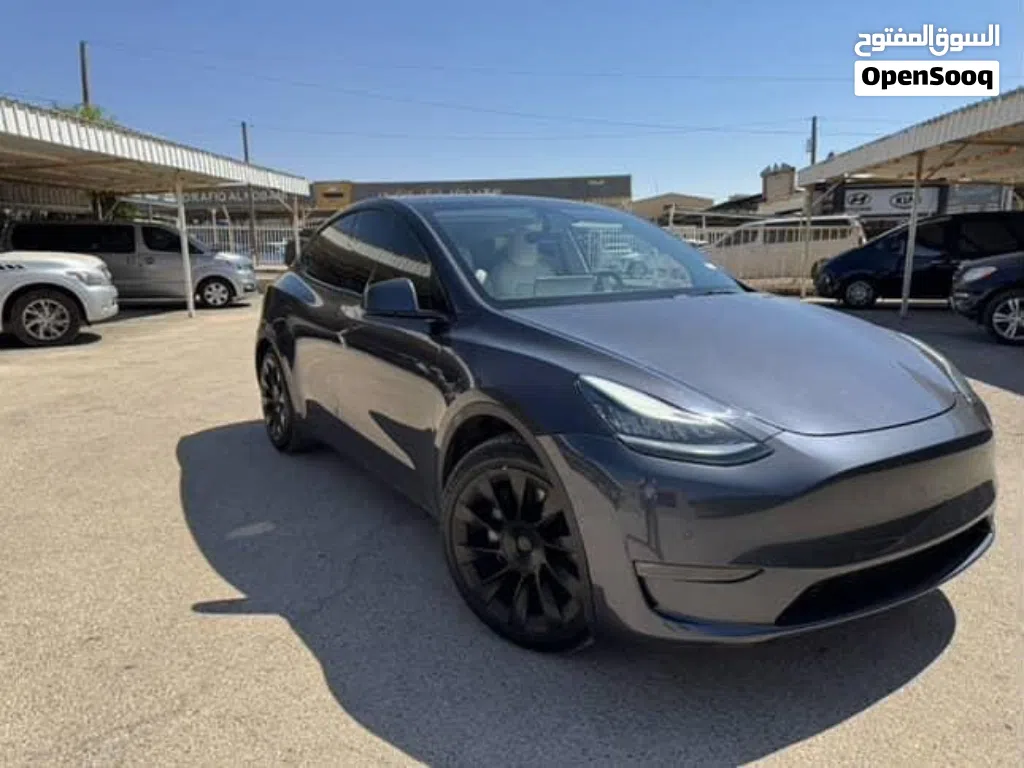 Tesla Model Y Standard Range