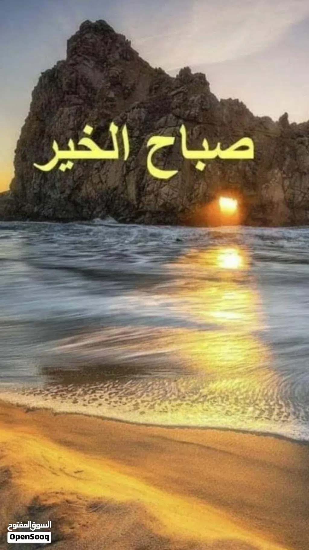 شقه للإيجار الهاشمي الشمالي نايفه