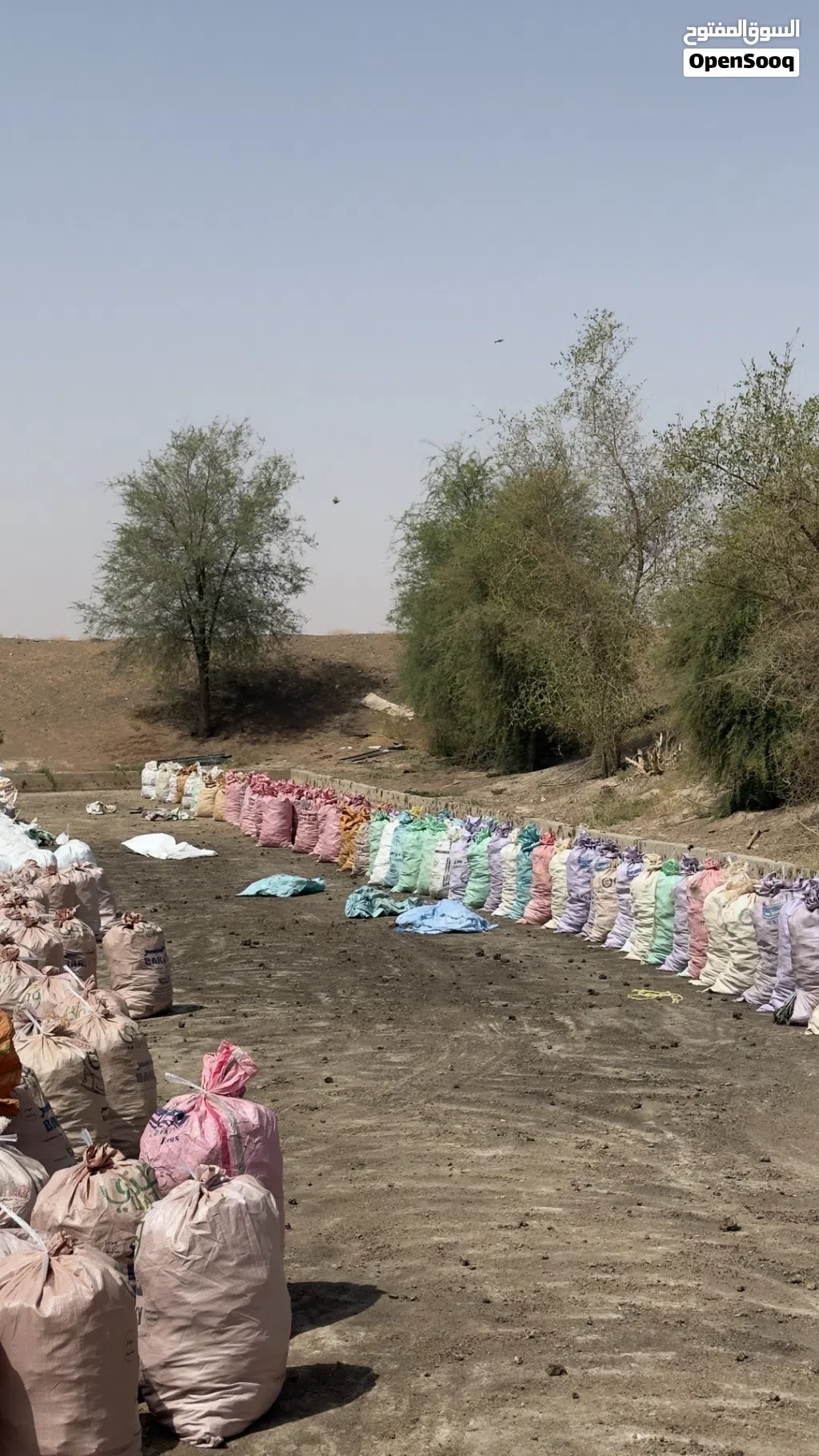 سماد دجاج متوفر بكميات كبيرةةة الجونية ب 400 بيسة