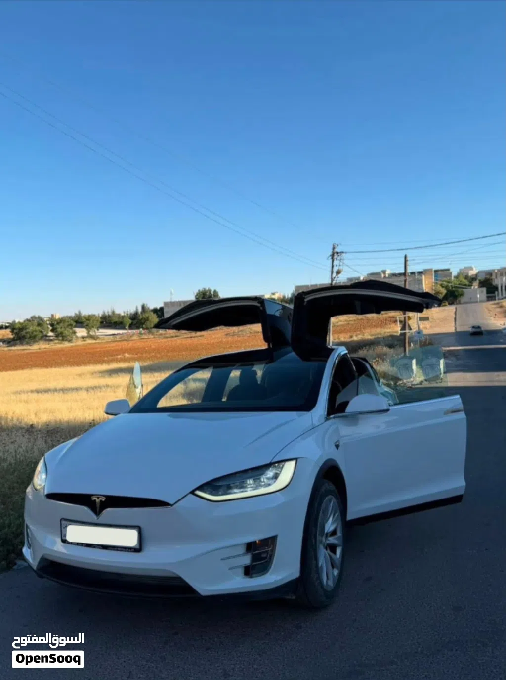 Tesla Model X Long Range Plus