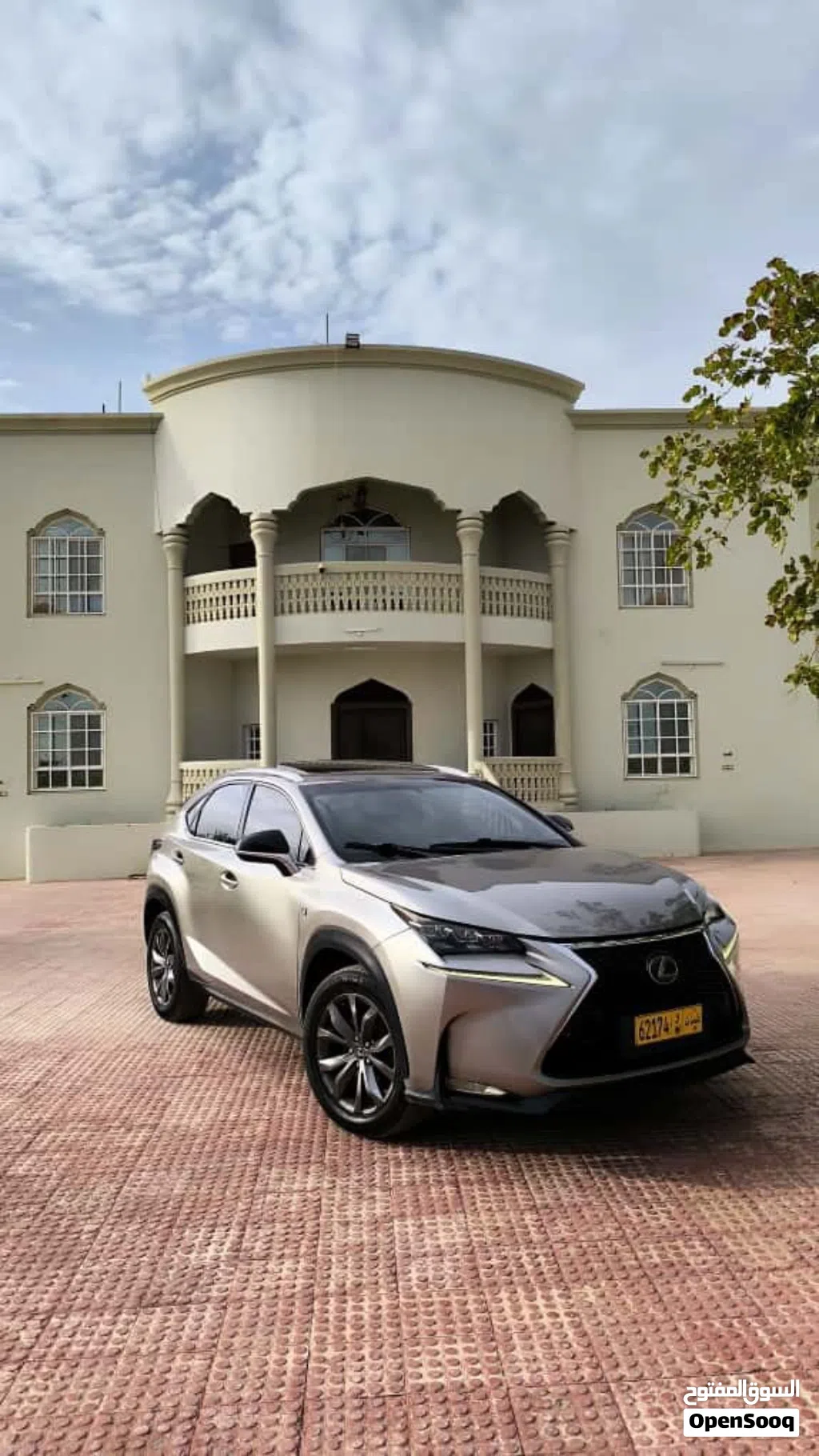 Lexus NX NX 250