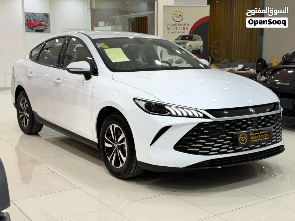 BYD Other