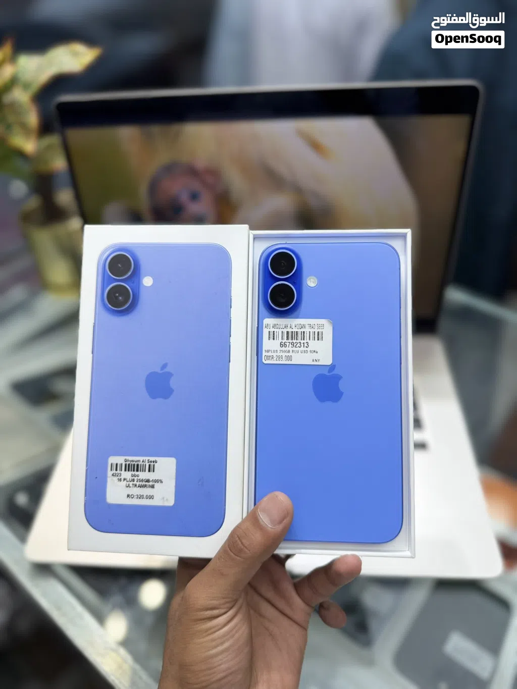 iPhone 16Plus 256Gb Arabic Version Under Apple Warranty Less used Fantastic Device