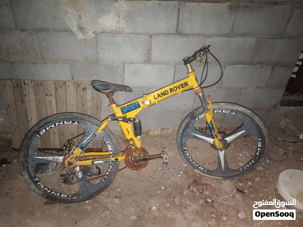 عمي ثنينهن ب100
