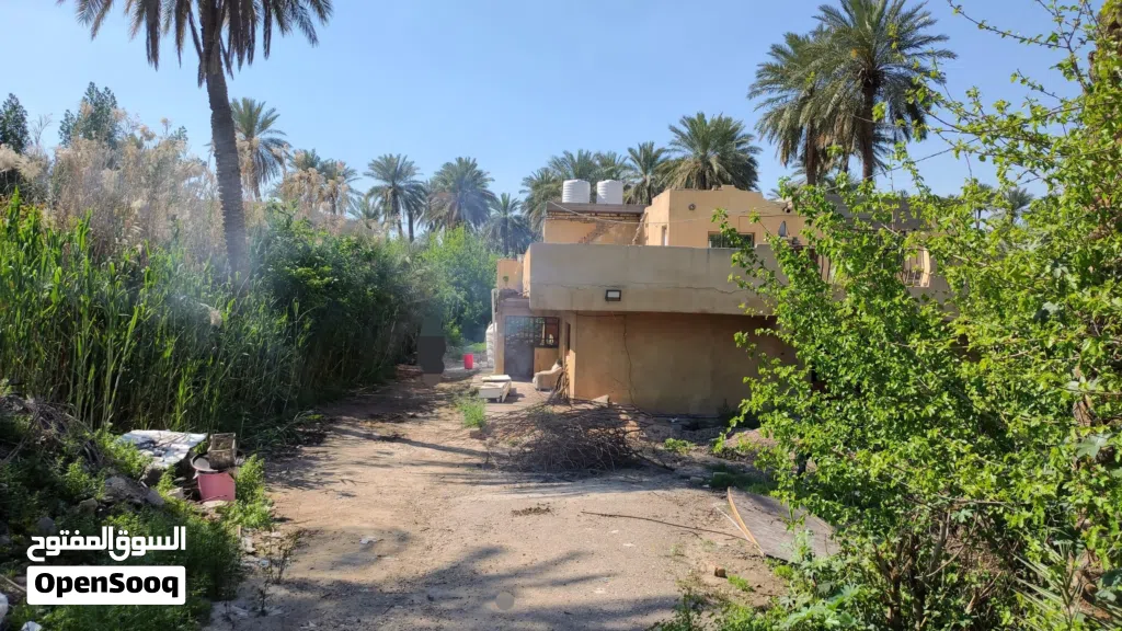 بيت للإيجار مساحة 400 متر، العنوان: بغداد – البوعيثة.