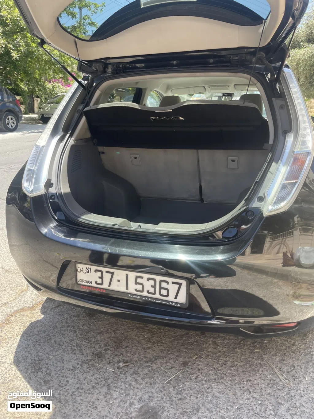 Nissan Leaf SV