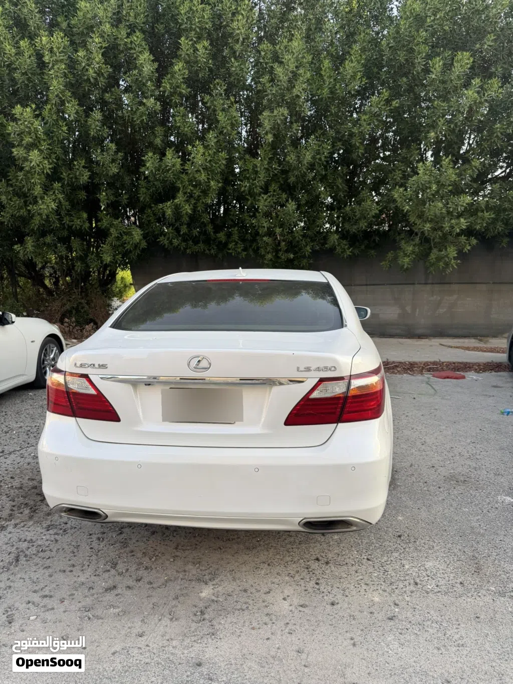 لكزس LS LS 460