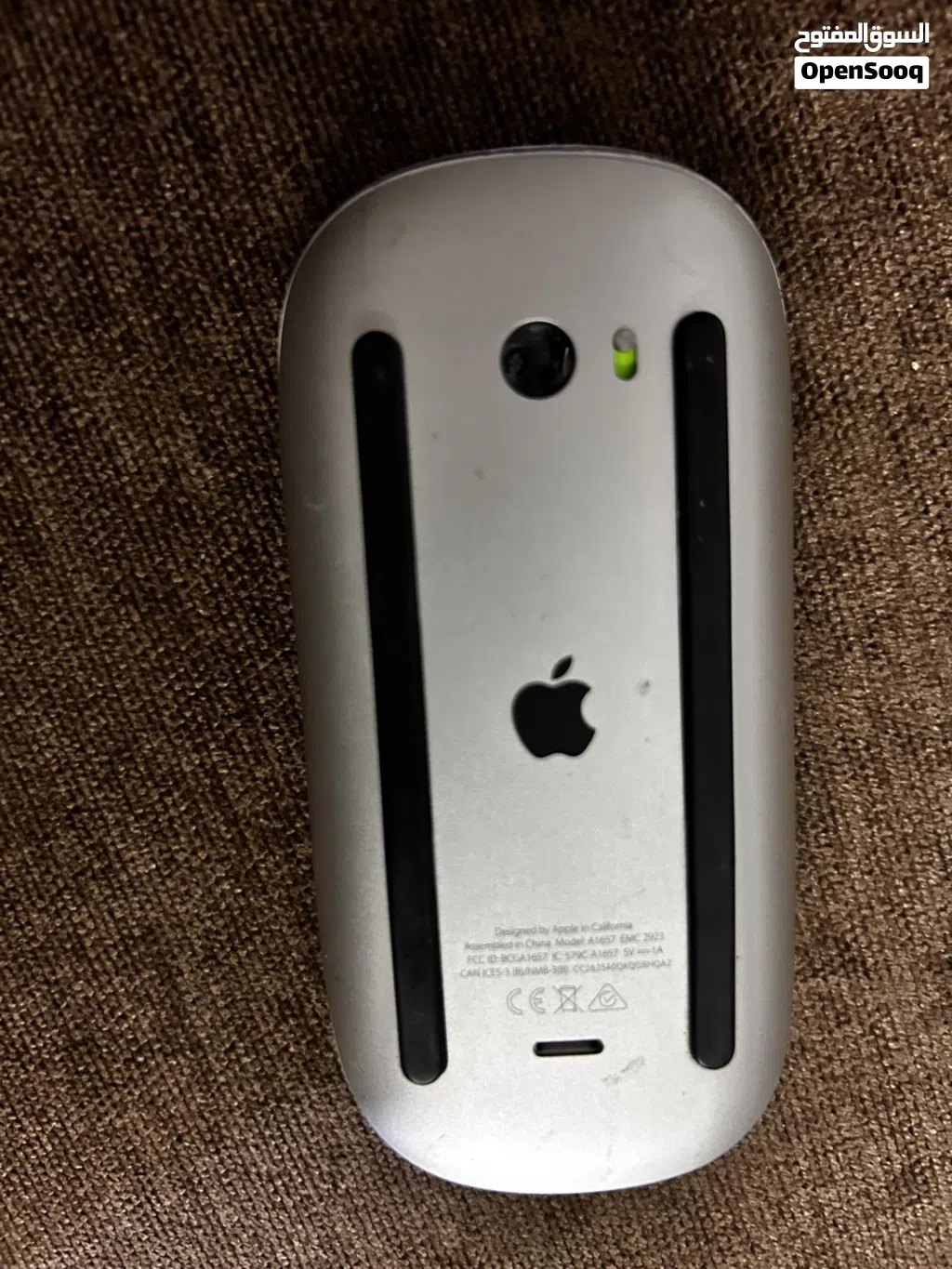 Apple magic mouse