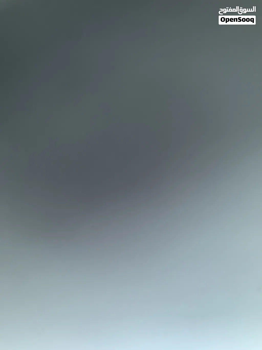 مطلوب طبه او زوج شيرازي