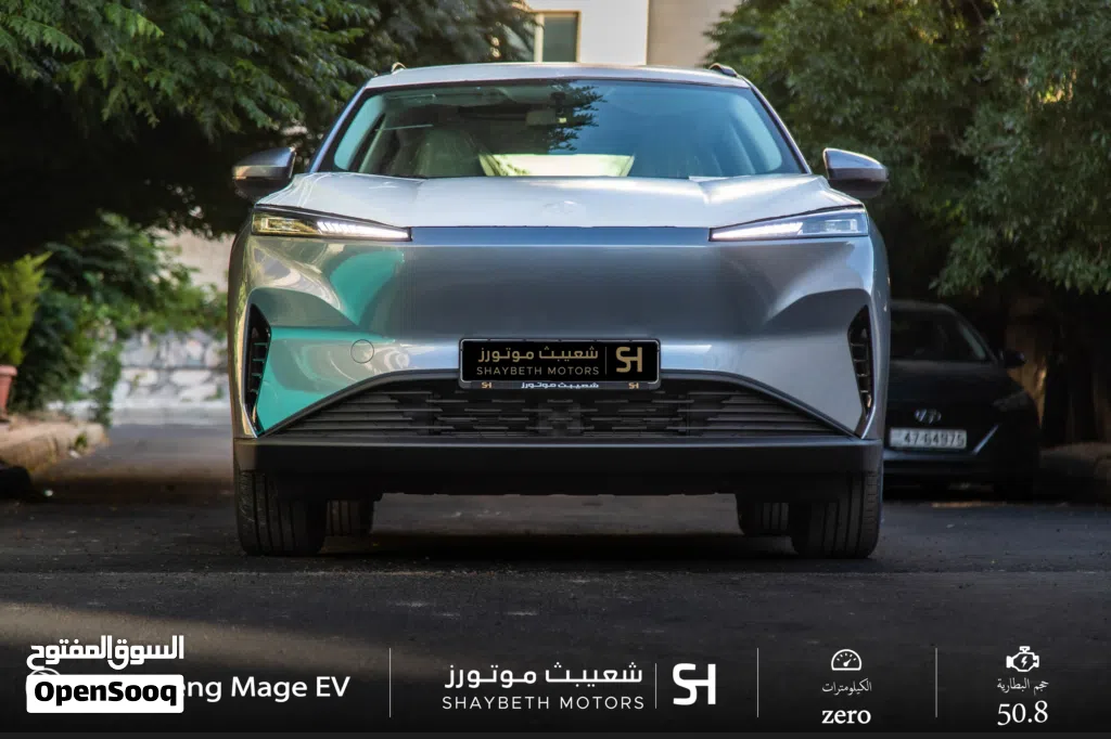 Dongfeng Mage EV