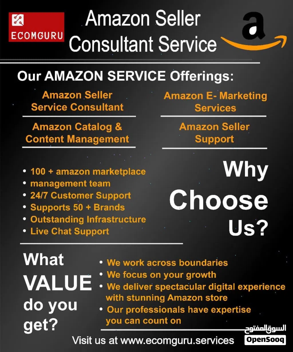 Ecommerce Training Online Earning Money with Amazon Walmart Ebay USA