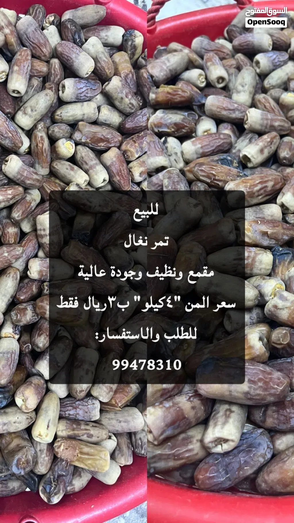 تمر نغال جودة عالية للبيع