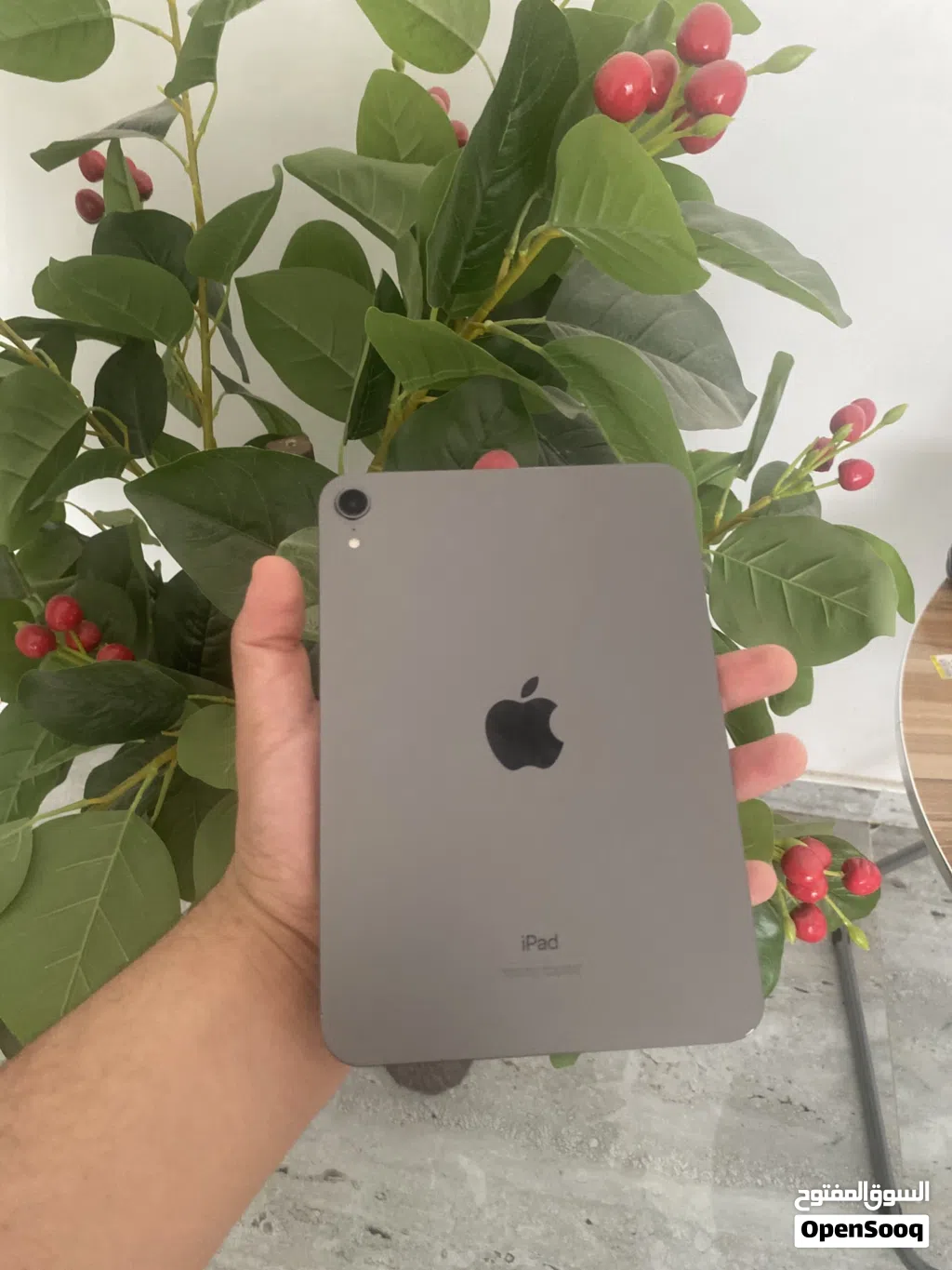 Ipad mini 6