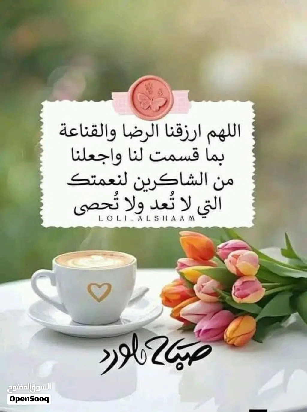 جوز تكساس هوقو رومو اول خيرو شوف الفيديو