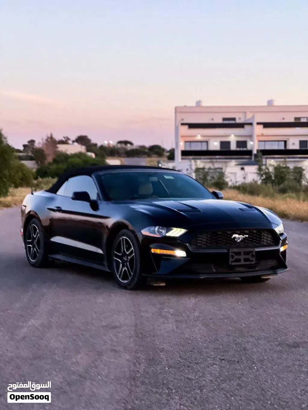 Ford Mustang GT Premium