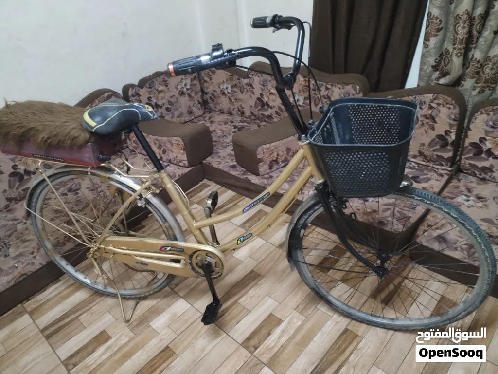 بسكليت محول كهرباء ياباني