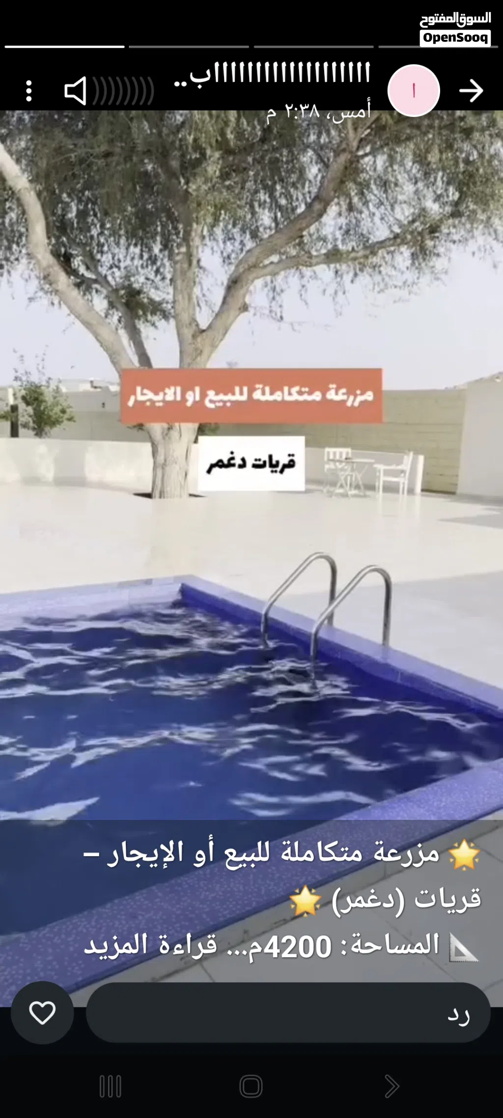استراحه ومزرعه للبيع