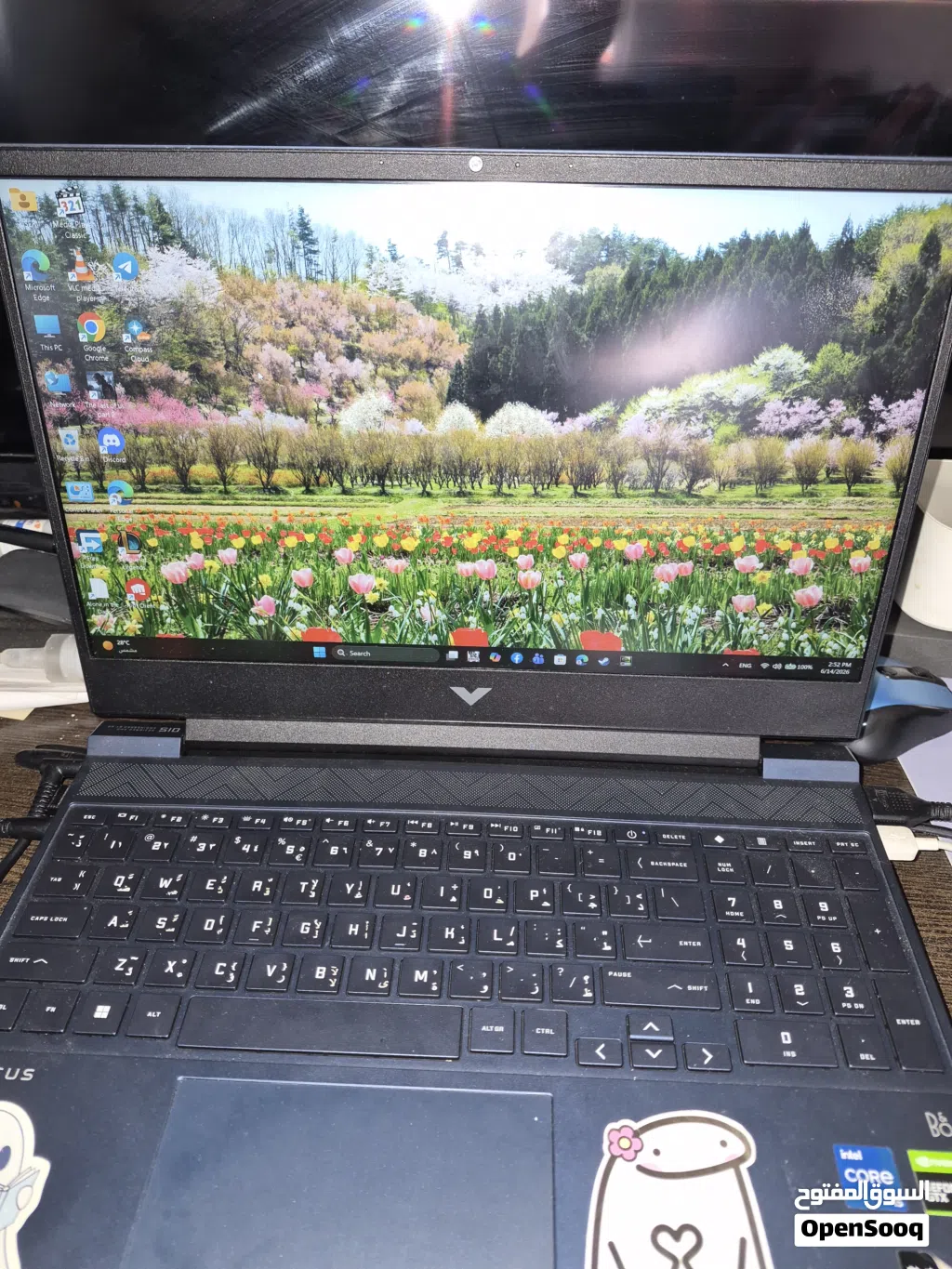 HP Victus 15