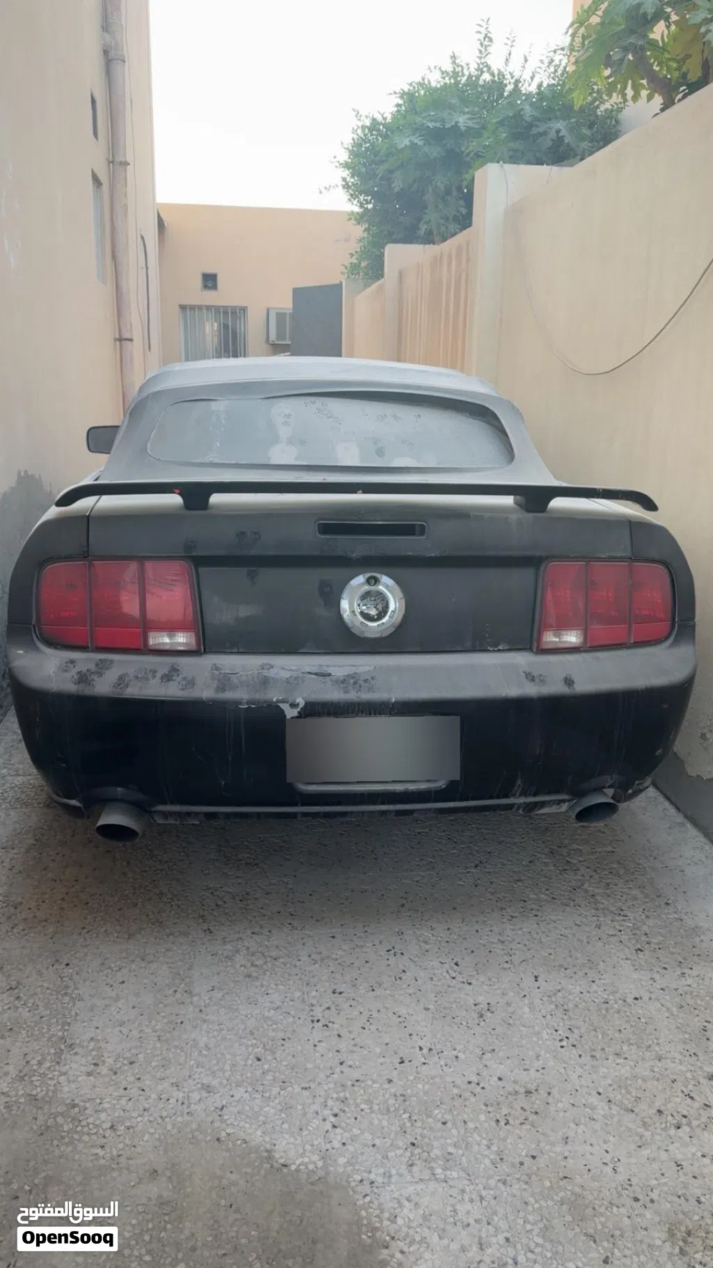 فورد موستانج GT