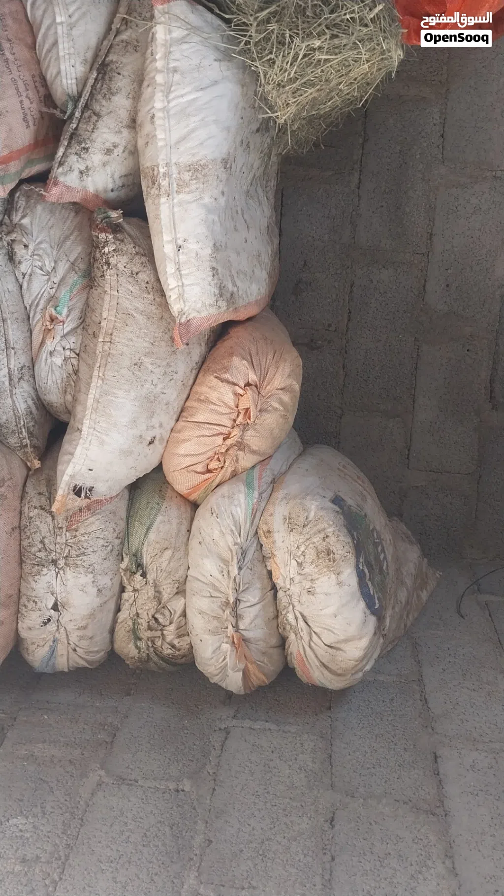 نفيعة للبيع قيمه الجونية 5 ريال من الاخر، للعلم الجواني 50 كيلو ( الخريف ، الذهبي ، عطايا )