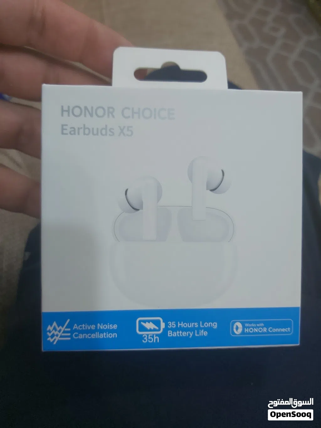 Honor choice Earbuds X5